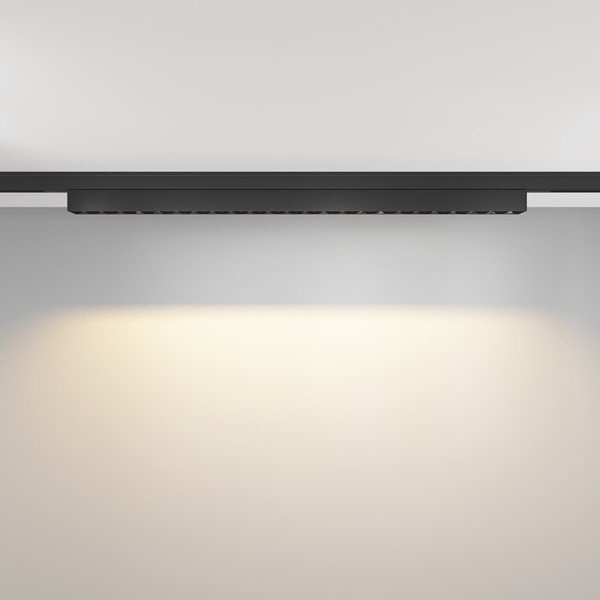 Изображение товара Трековый светильник Maytoni TR193-1-20W2.7K-M-B