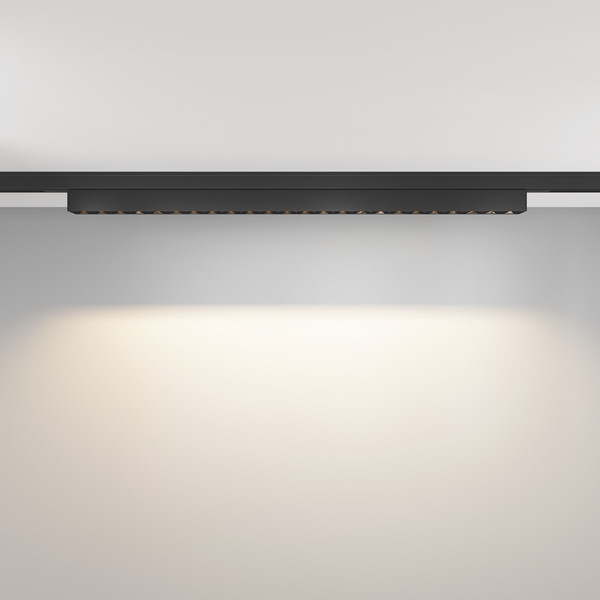 Изображение товара Трековый светильник Maytoni TR193-1-20W3K-M-B