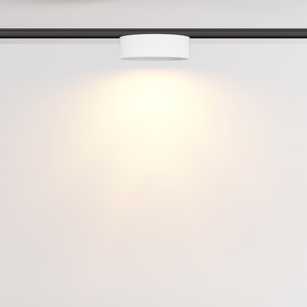 Изображение товара Трековый светильник Maytoni TR189-1-12W2.7K-BW