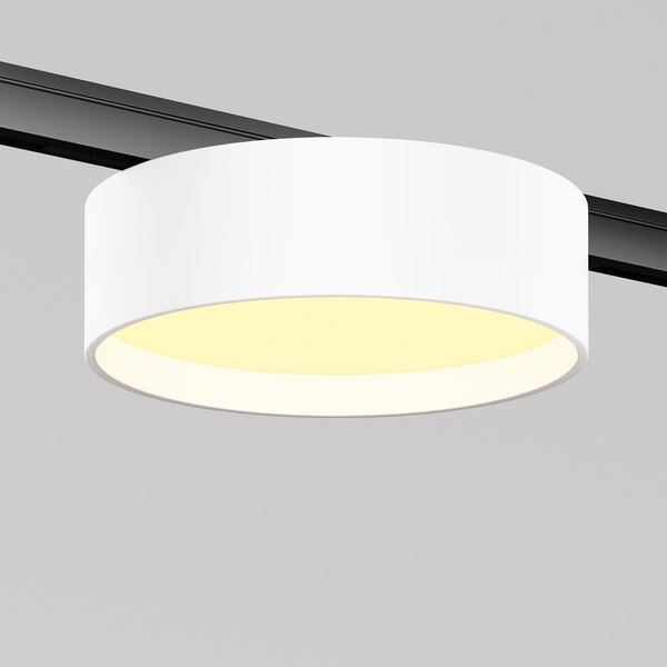 Изображение товара Трековый светильник Maytoni TR189-1-12W2.7K-BW