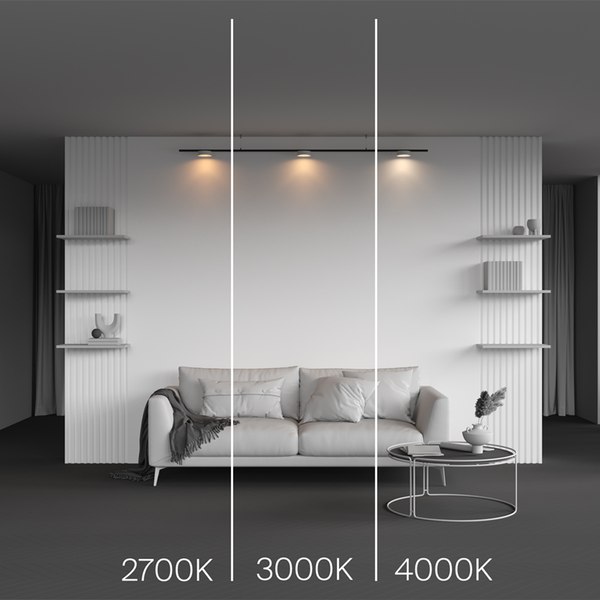Изображение товара Трековый светильник Maytoni TR189-1-12W2.7K-BW