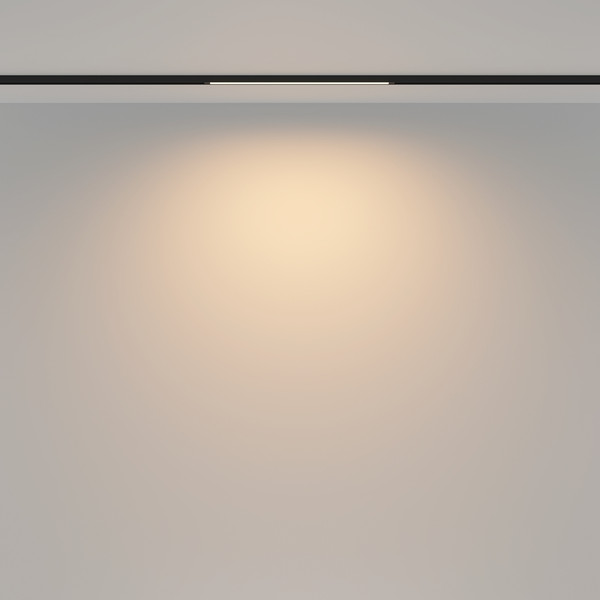 Изображение товара Трековый светильник Maytoni TR173-1-8WTW-B