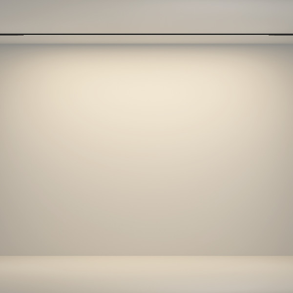 Изображение товара Трековый светильник Maytoni TR180-1-24WTW-B