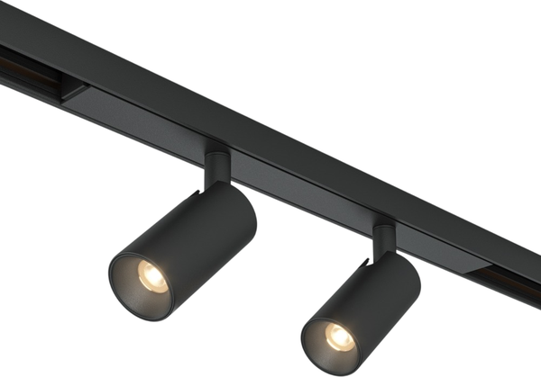 Изображение товара Трековый светильник Maytoni TR176-1-2X3WTW-M-B