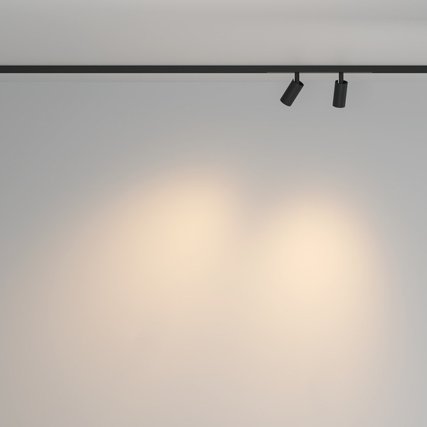 Изображение товара Трековый светильник Maytoni TR176-1-2X3WTW-M-B