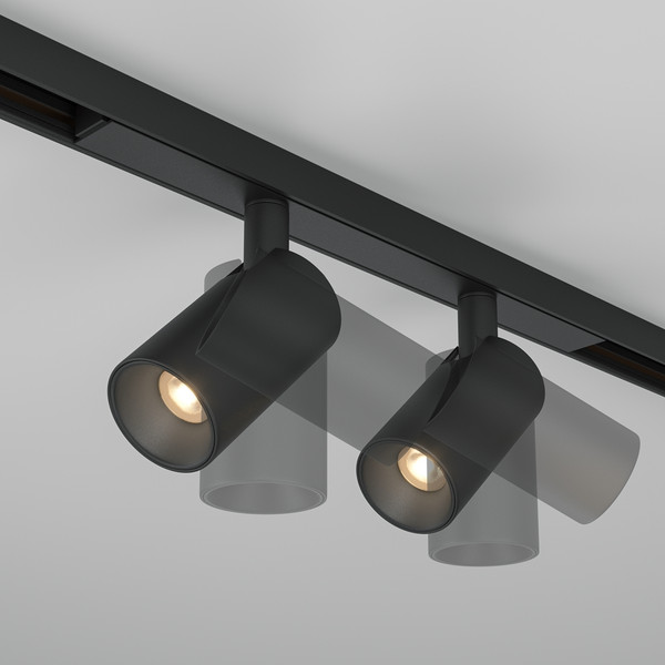 Изображение товара Трековый светильник Maytoni TR176-1-2X5WTW-M-B