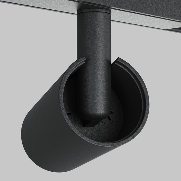 Изображение товара Трековый светильник Maytoni TR176-1-2X5WTW-M-B