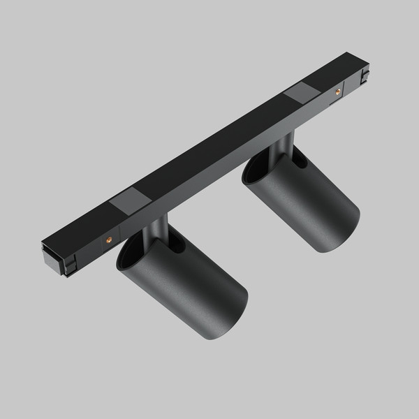 Изображение товара Трековый светильник Maytoni TR176-1-2X5WTW-M-B