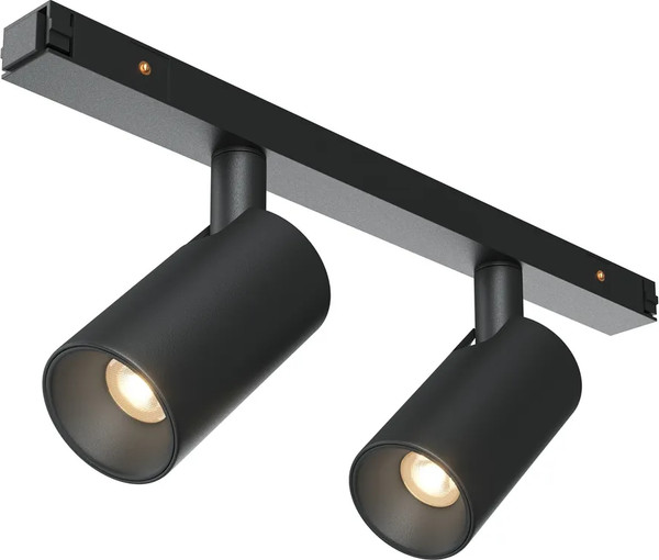 Изображение товара Трековый светильник Maytoni TR176-1-2X5WTW-M-B