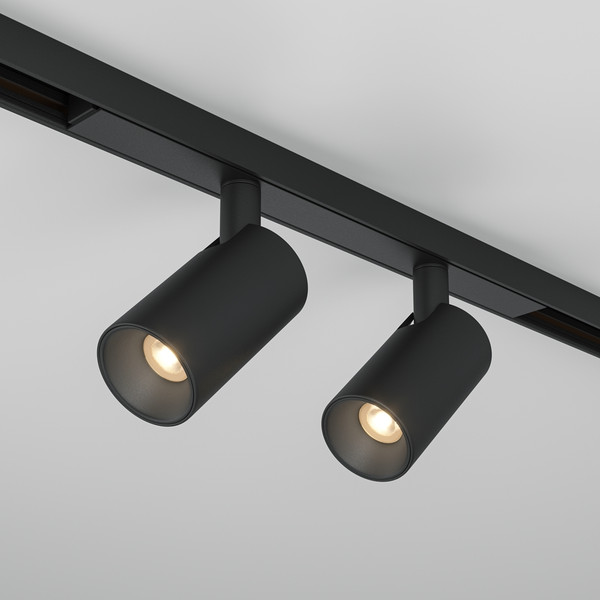 Изображение товара Трековый светильник Maytoni TR176-1-2X5WTW-M-B