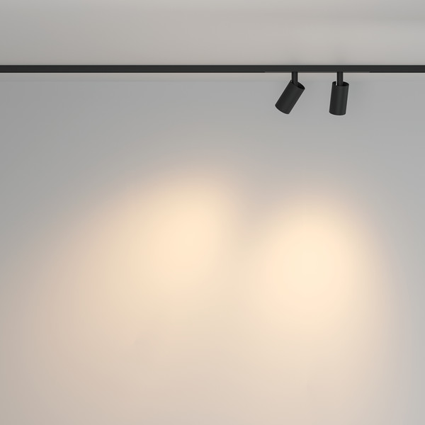 Изображение товара Трековый светильник Maytoni TR176-1-2X5WTW-M-B