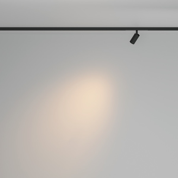 Изображение товара Трековый светильник Maytoni TR176-1-3WTW-M-B