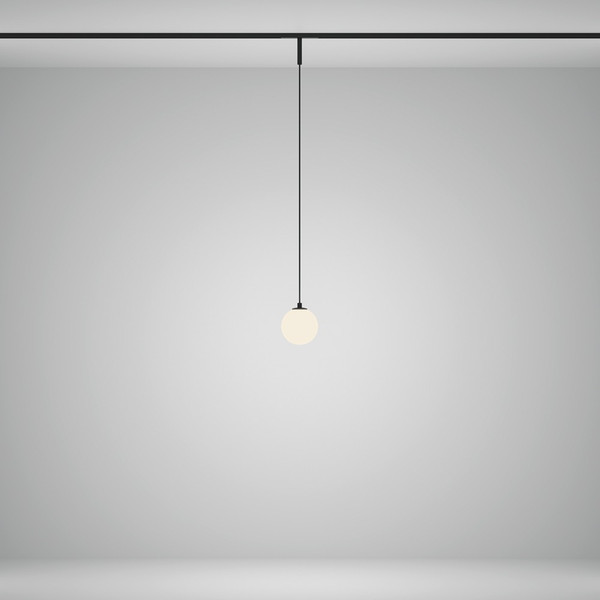 Изображение товара Трековый светильник Maytoni TR178-1-5WTW-B