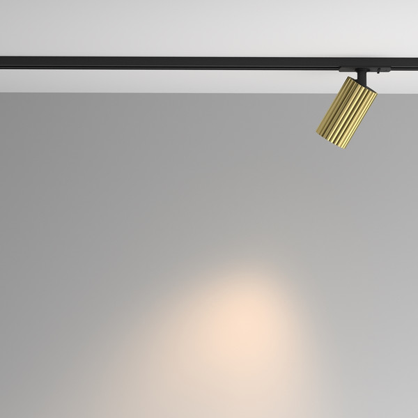 Изображение товара Трековый светильник Maytoni TR218-1-GU10-BS
