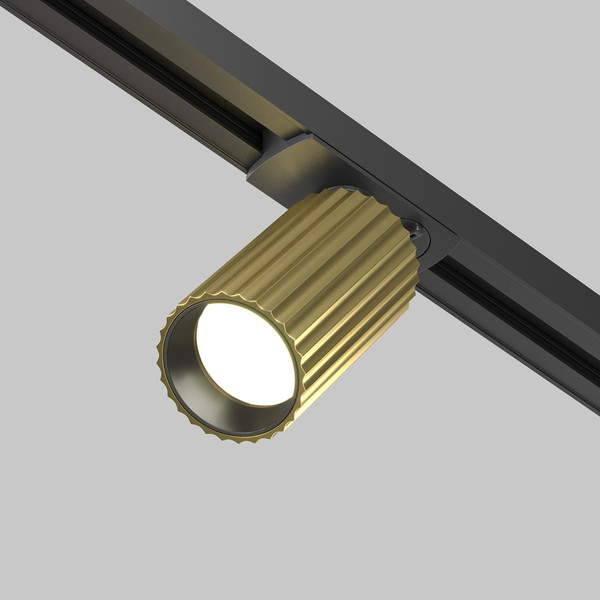 Изображение товара Трековый светильник Maytoni TR218-1-GU10-BS
