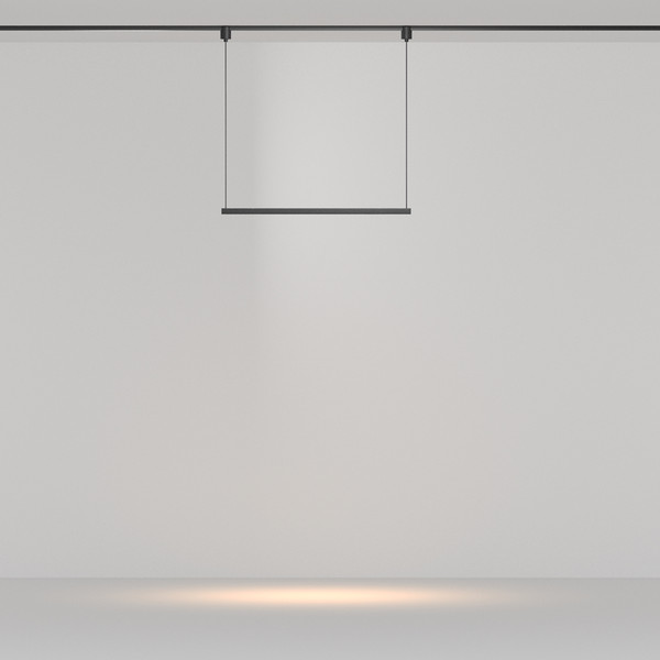 Изображение товара Трековый светильник Maytoni TR169-1-26W3K-M-B