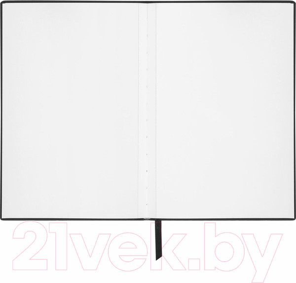 Изображение товара Скетчбук Brauberg Art Premiere Бристоль / 115099 (32л, черный)