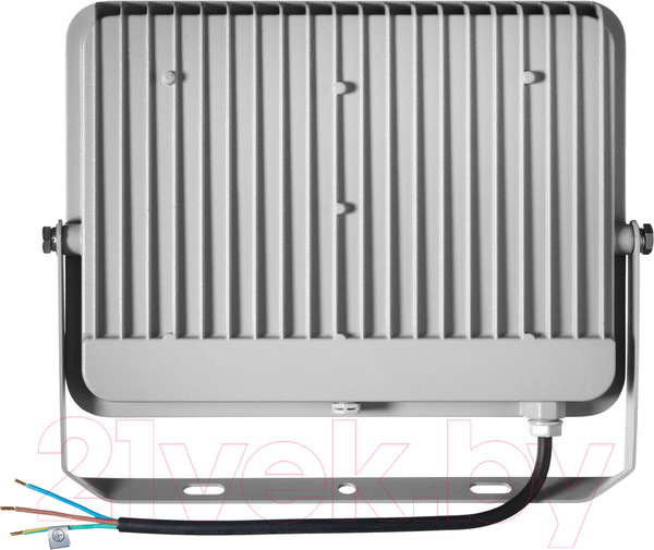 Изображение товара Прожектор IEK LPDO701-100-K03