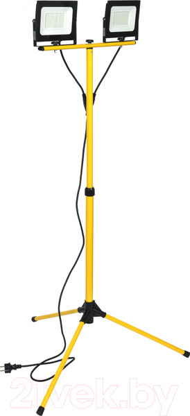 Изображение товара Прожектор IEK LPDO606-2X050-65-K02