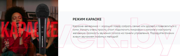 Изображение товара Портативная акустика SoundMax SM-MS4209 (черный)