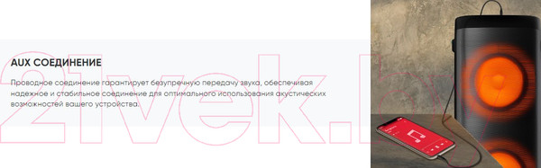 Изображение товара Портативная акустика SoundMax SM-MS4305 (черный)