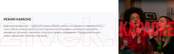 Изображение товара Портативная акустика SoundMax SM-MS4305 (черный)