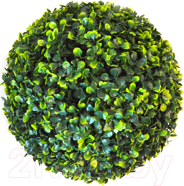Изображение товара Искусственное растение Green Fly Самшит Классик / С-10-22
