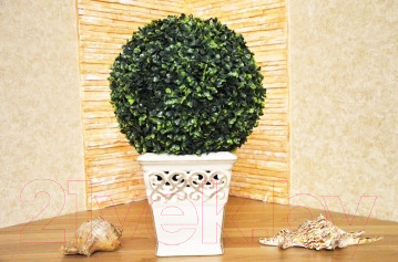 Изображение товара Искусственное растение Green Fly Самшит Классик / С-10-39