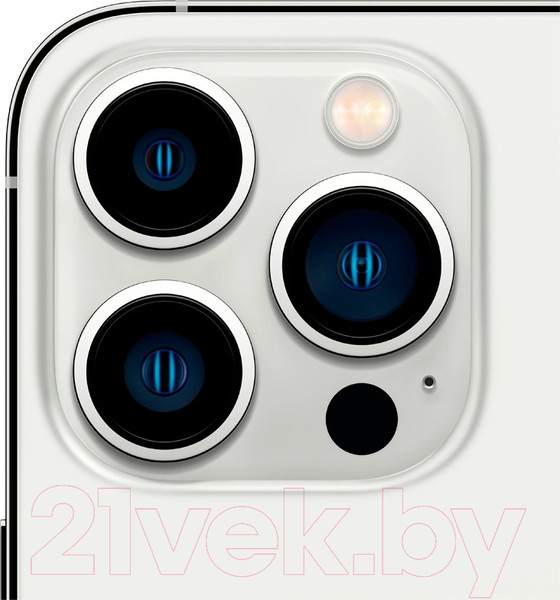 Изображение товара Смартфон восстановленный Apple iPhone 13 Pro 256GB Flip Грейд A (серебристый)