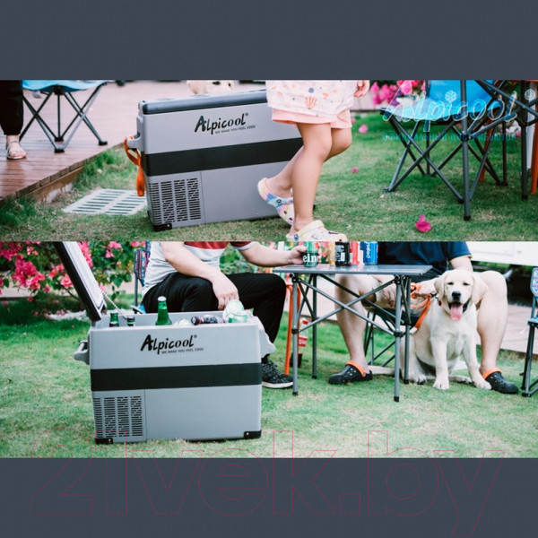 Изображение товара Автохолодильник Alpicool CF55 (12/24)