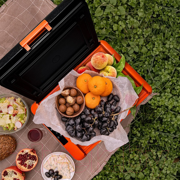 Изображение товара Автохолодильник Alpicool CL40 (12/24)