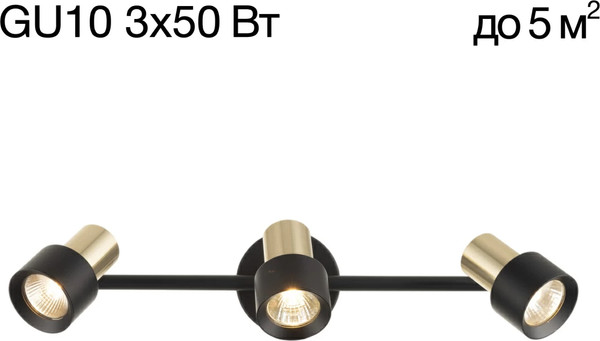 Изображение товара Спот Citilux SAT CL505631