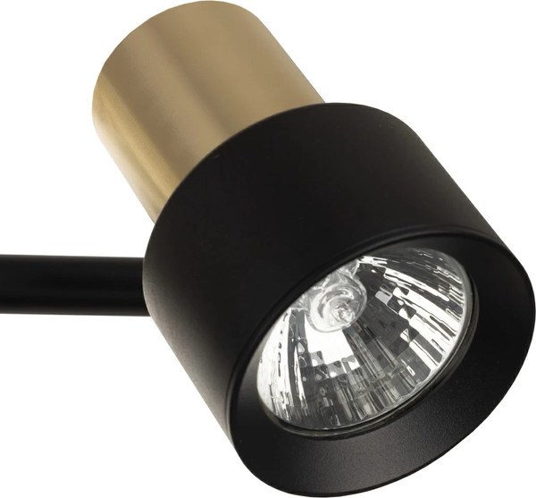 Изображение товара Спот Citilux SAT CL505641