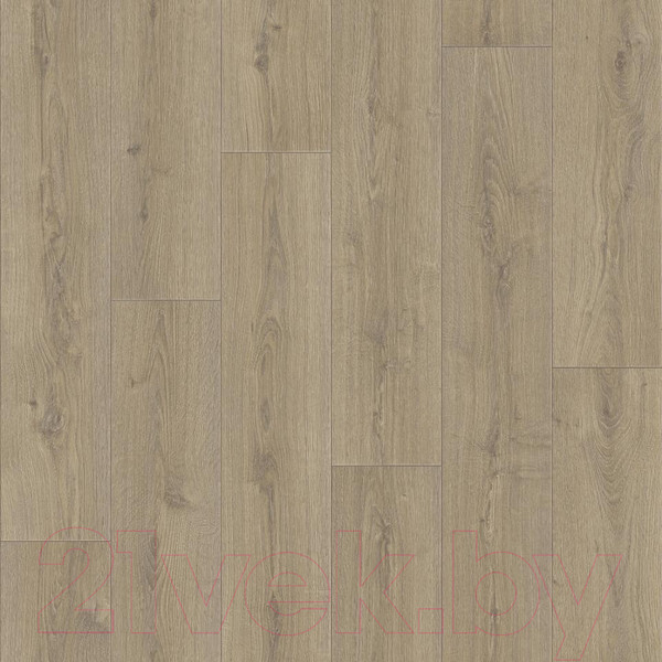 Изображение товара Линолеум Tarkett Praktika Bruno 1 (2x1.5м)