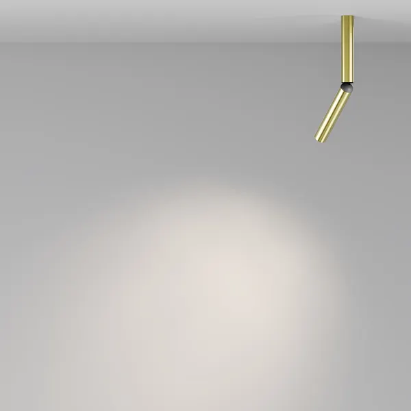 Изображение товара Потолочный светильник Maytoni Ceiling C142CL-6W4K-BS