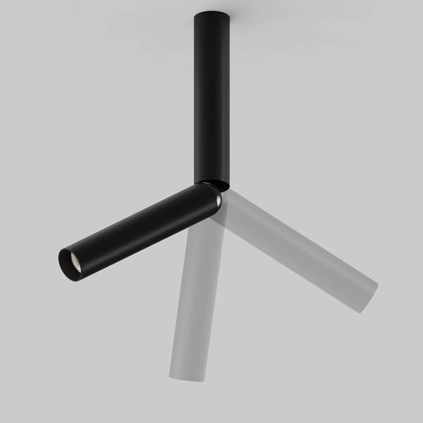 Изображение товара Потолочный светильник Maytoni Ceiling C142CL-6W4K-B