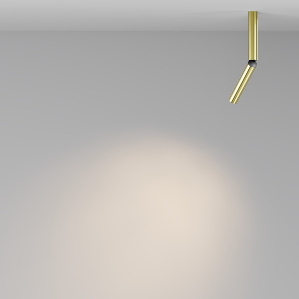 Изображение товара Потолочный светильник Maytoni Ceiling C142CL-6W3K-BS