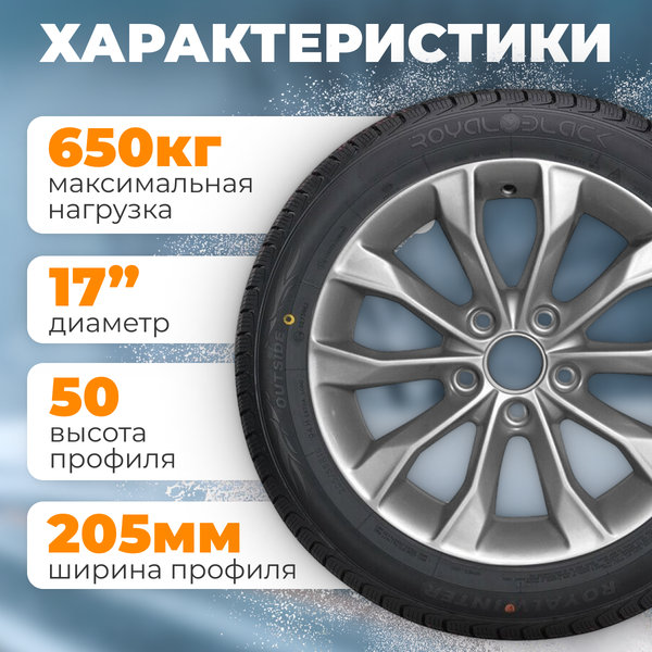 Изображение товара Зимняя шина ROYAL BLACK Royal Winter 205/50R17 93VXL
