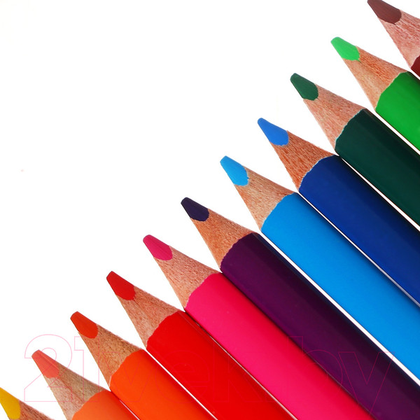 Изображение товара Набор цветных карандашей Erich Krause Kids Space Animals / 61786 (12цв)