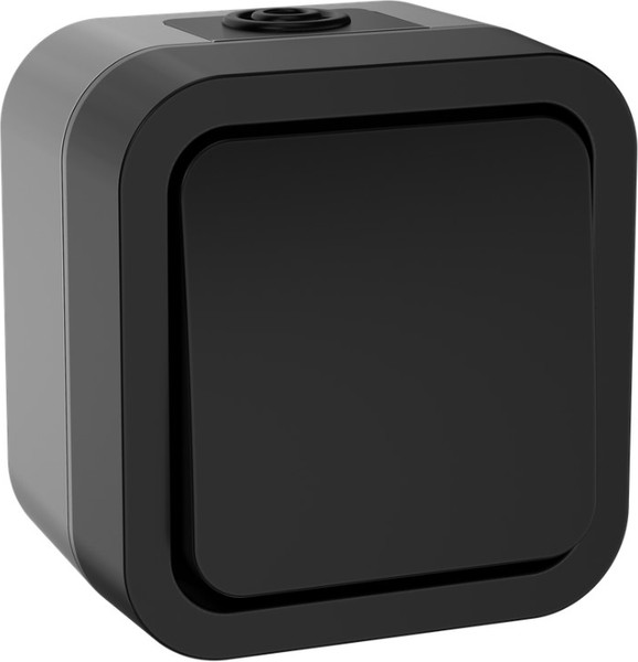 Изображение товара Выключатель IEK TS-V14-0-10-55-K53 (графит)