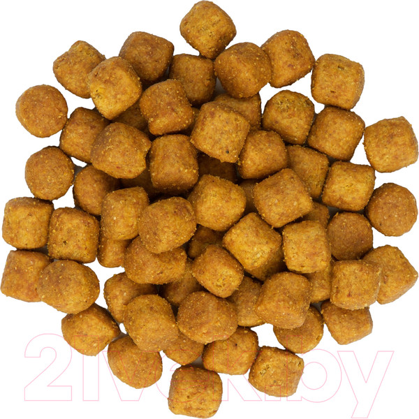 Изображение товара Сухой корм для собак Hill's SP для взрослых собак крупных пород, с ягненком и рисом / 604373 (14кг)