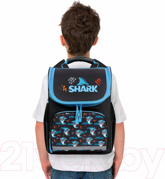 Изображение товара Школьный рюкзак Пифагор Basic. Angry Shark / 272044