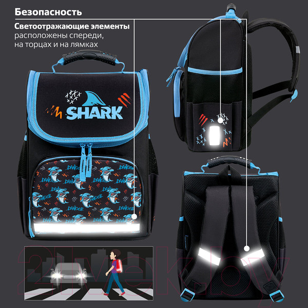 Изображение товара Школьный рюкзак Пифагор Basic. Angry Shark / 272044