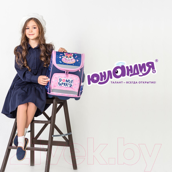 Изображение товара Школьный рюкзак Юнландия Wise. Donut Worry / 272073