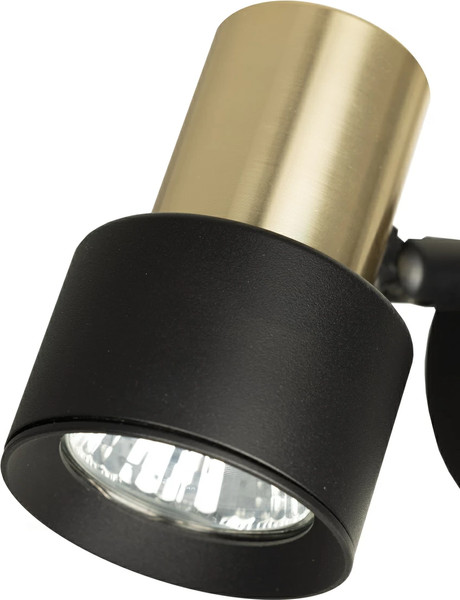 Изображение товара Спот Citilux SAT CL505611