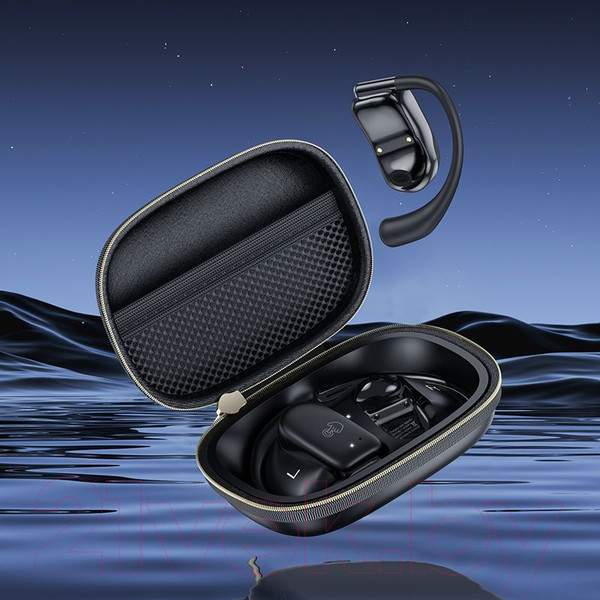 Изображение товара Беспроводные наушники Hoco EA2 TWS (черный)