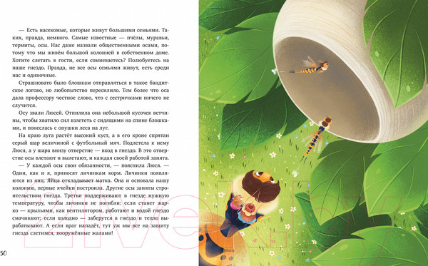 Изображение товара Книга CLEVER Как Шурочка и Мурочка искали выхухоль / 9785002117727 (Дороченкова М.)