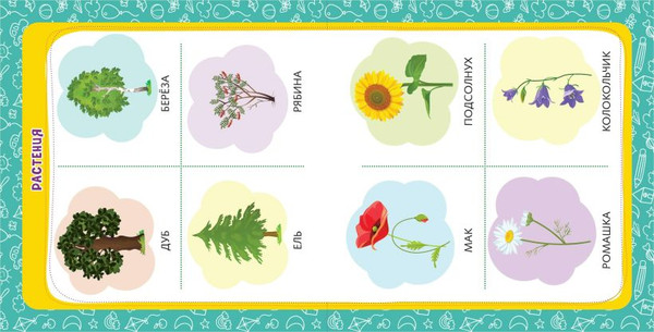 Изображение товара Развивающая книга Эксмо Первые знания малыша / 9785041936945