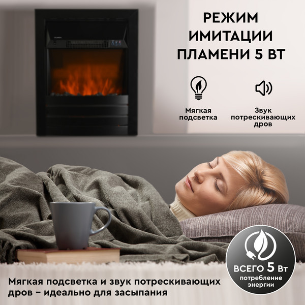 Изображение товара Электрокамин PLANTA PFP-FS600 (черный)