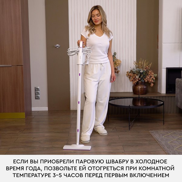 Изображение товара Пароочиститель PLANTA PL-SM01